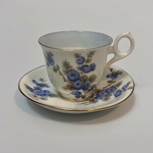 Royal Crown Demitasse Bone China Cup and Saucer Blue and Gray Floral‎